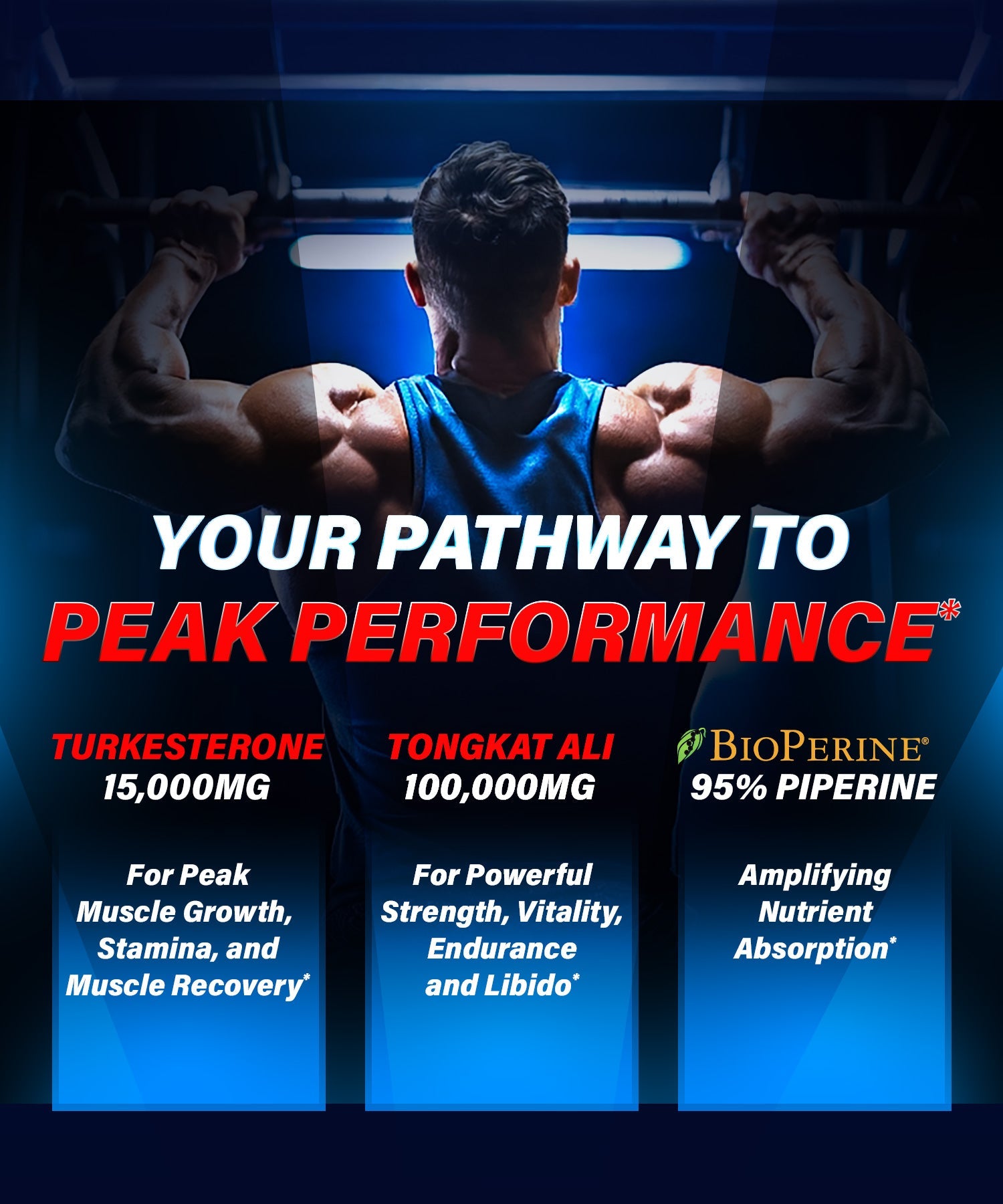 TURKESTERONE POTENCIADOR NATURAL